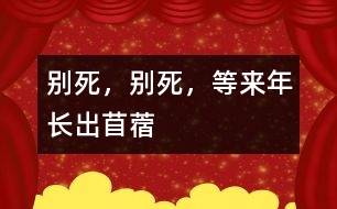 別死，別死，等來年長(zhǎng)出苜蓿