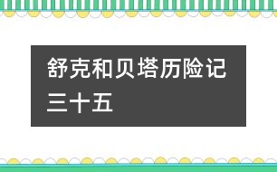 舒克和貝塔歷險記 三十五