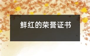 鮮紅的榮譽證書