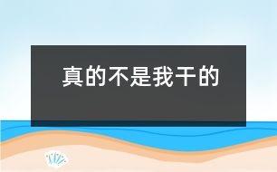 真的不是我干的