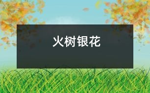 火樹(shù)銀花