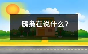 鴟梟在說(shuō)什么？