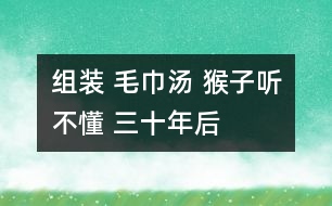 組裝 毛巾湯 猴子聽不懂 三十年后